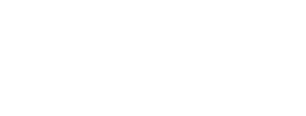 PRG Builders logo in white